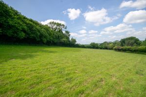 Photo 16- click for photo gallery